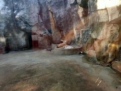 -南昌动物园