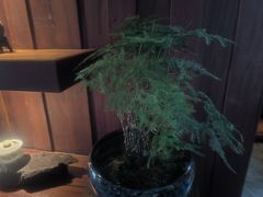 -足本纪·足道 SPA 简餐 小吃(文三西路店)