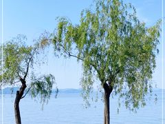 -东钱湖小普陀景区