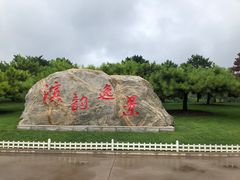 -塘沽森林公园