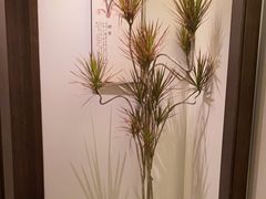 -谧境·爱SPA(春熙路店)