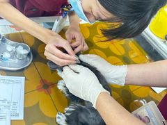 -美联众合动物医院·24h京西诊疗中心