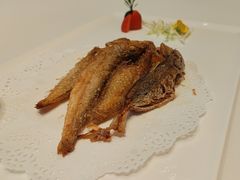 -粤江春·早茶·潮粤菜·宴会(罗湖宝能中心店)