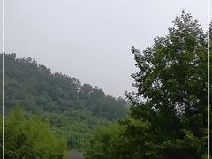 -都江堰中华大熊猫苑