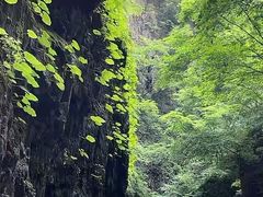 -野三坡百里峡景区
