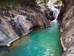 -广州白江湖森林公园