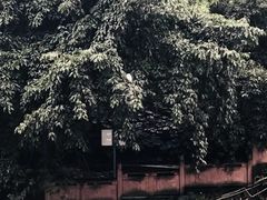 -成都市活水公园