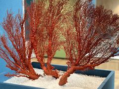 -中国湿地博物馆