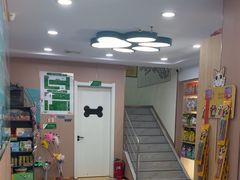-天使宠物医院·犬猫分诊(彩虹店)