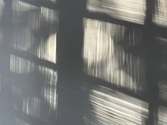 -西昌邛海湿地
