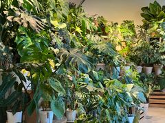 -自由生长植物工作室(深港花卉中心店)