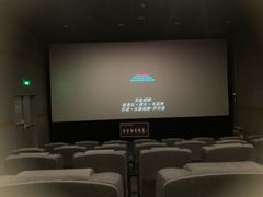 -新世纪电影城(阳光100店)