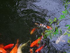 -苏州文旅花间堂·探花府酒店