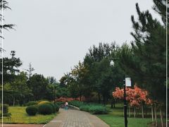 -北坞公园