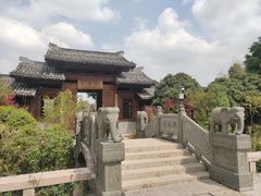 -三垟湿地