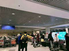 -谢列梅捷沃国际机场