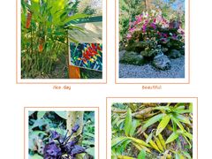 -莫里热带雨林景区