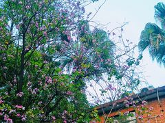 -烈士陵园(地铁站)