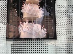 -BLACKSWAN黑天鹅(环球店)
