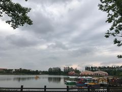 -上海长兴岛郊野公园