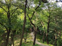 -竹子庵公园