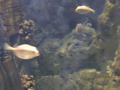 -福州罗源湾海洋世界旅游区