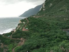 -杨梅坑