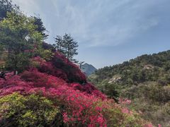 -木兰云雾山