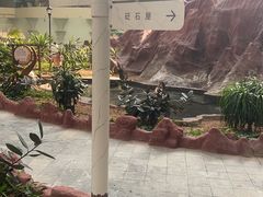 -青岛海泉湾度假区温泉