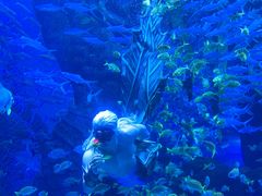 -哈尔滨波塞冬海底世界