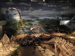 -自贡恐龙博物馆