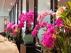 -深圳维景酒店-维景轩