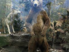 -国家自然博物馆