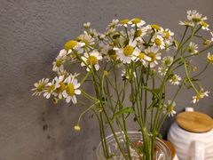 -红小满休闲餐厅(十全街店)