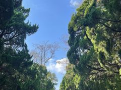 -八大关-近代建筑