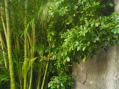 -明谷行馆·温泉