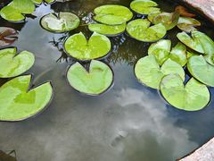 -许驸马府
