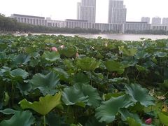 -尚贤河湿地