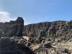 -龙坑生态保护区