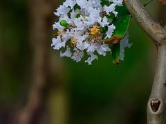 -四海公园(南山区)