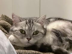 -瑞鹏宠物医院·超声·骨科·奇麟分院(蜀都万达店)