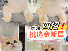 -lincat·猫舍(广州店)