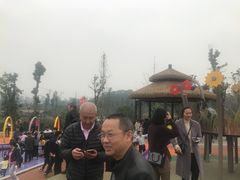 -枫香湖儿童公园