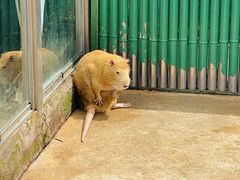 -杭州野生动物世界