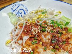 -大嘻咹biangbiang面(历史博物馆店)