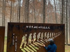 -黄海国家森林公园