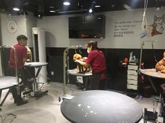 -宠物家(角门东店)