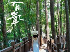 -东湖落雁景区