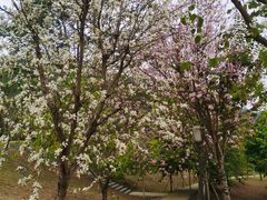 -中国移动南方基地