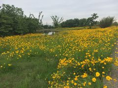 -金谷域澳洲庄园